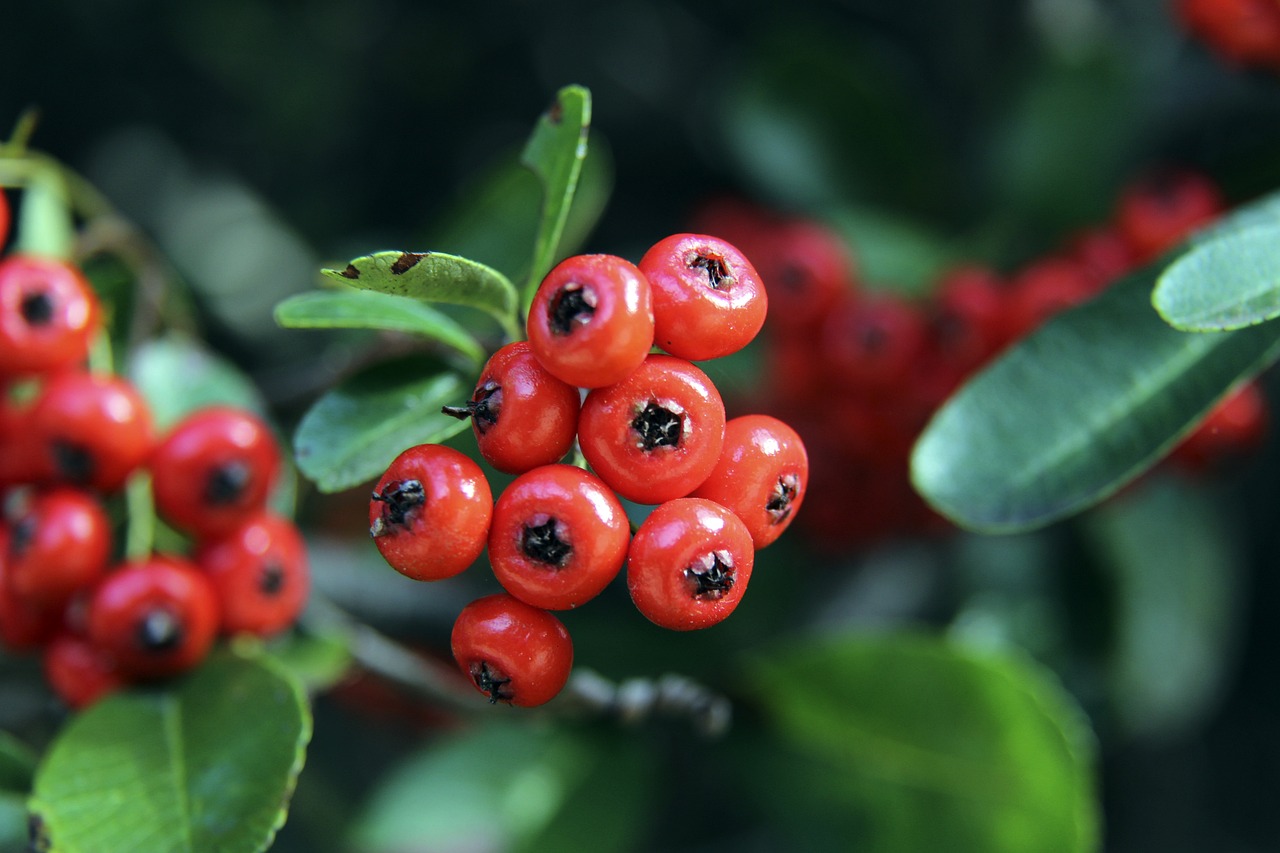 济和文化效 济和文化效