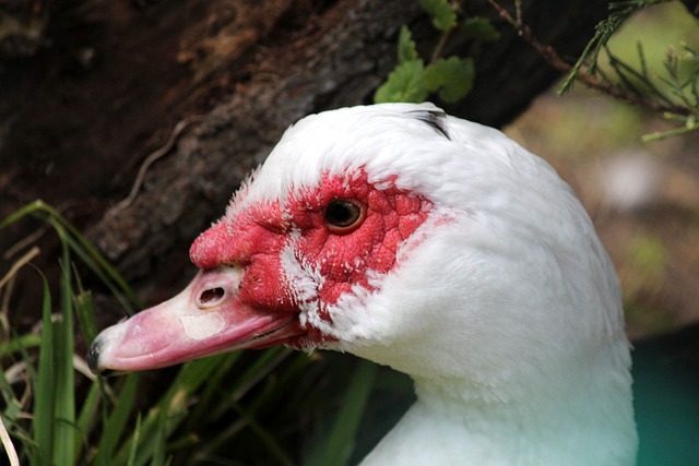 成功案例 成功案例