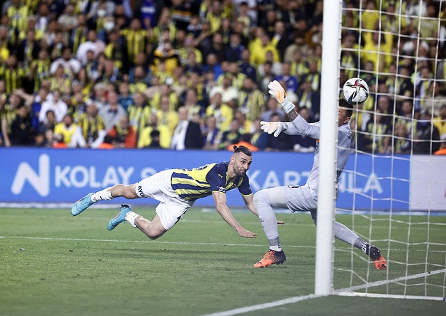 天赋和无畏 天赋和无畏