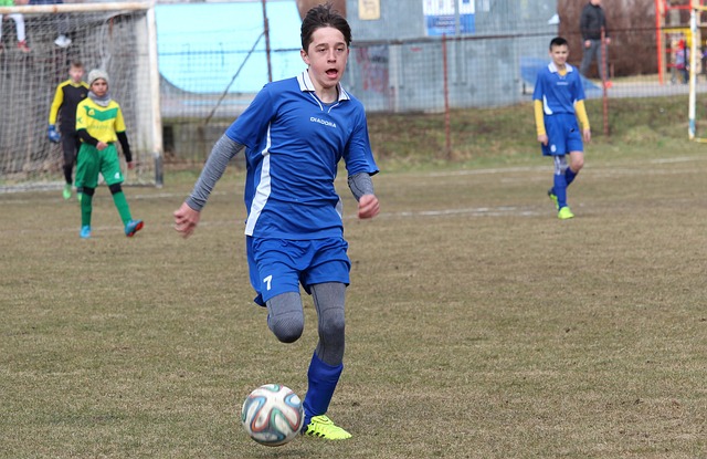 格纳布里的 格纳布里的