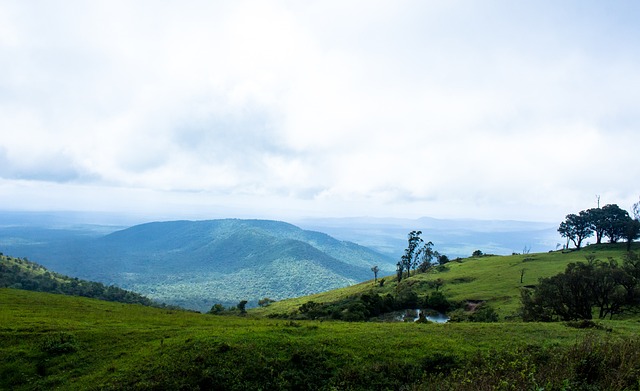 年轻外野手 年轻外野手